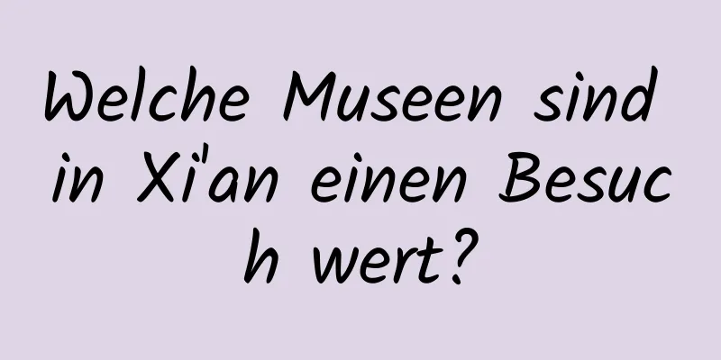 Welche Museen sind in Xi'an einen Besuch wert?