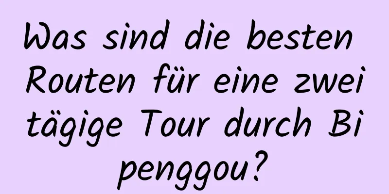 Was sind die besten Routen für eine zweitägige Tour durch Bipenggou?