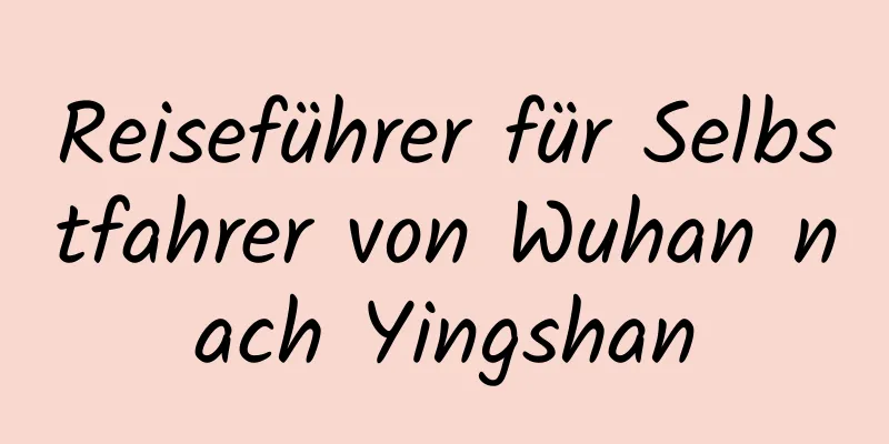 Reiseführer für Selbstfahrer von Wuhan nach Yingshan