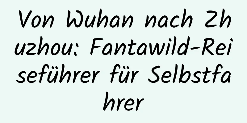 Von Wuhan nach Zhuzhou: Fantawild-Reiseführer für Selbstfahrer
