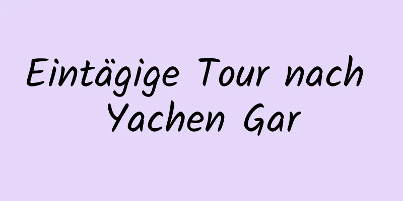 Eintägige Tour nach Yachen Gar