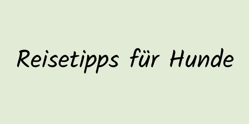 Reisetipps für Hunde