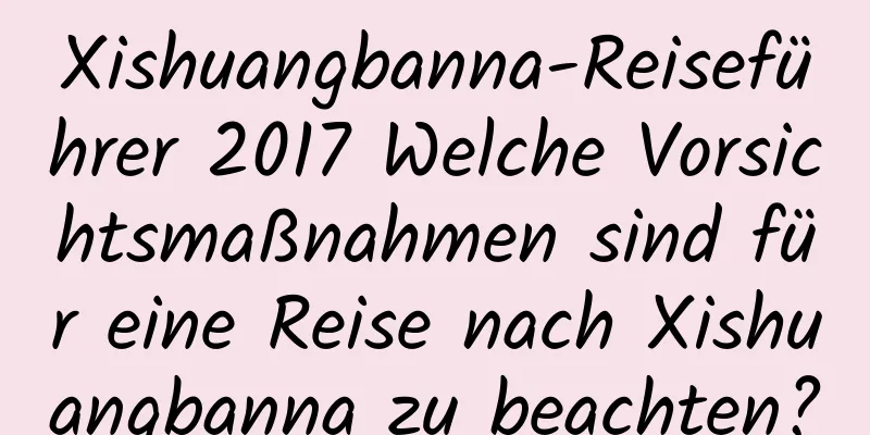 Xishuangbanna-Reiseführer 2017 Welche Vorsichtsmaßnahmen sind für eine Reise nach Xishuangbanna zu beachten?