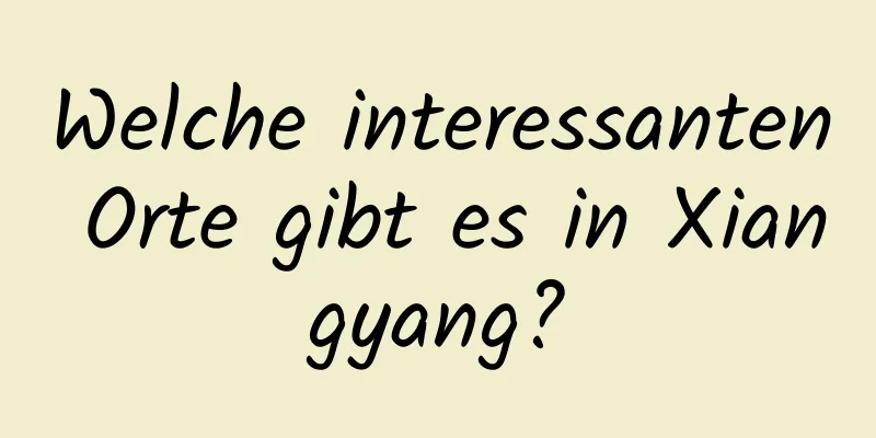 Welche interessanten Orte gibt es in Xiangyang?