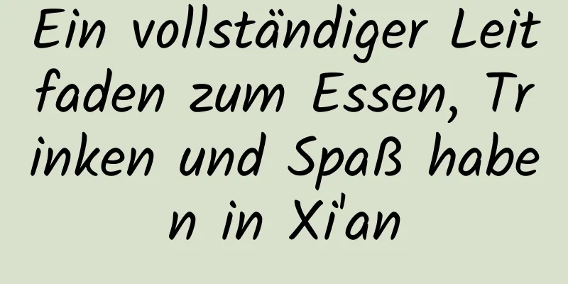 Ein vollständiger Leitfaden zum Essen, Trinken und Spaß haben in Xi'an