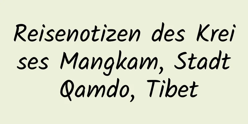 Reisenotizen des Kreises Mangkam, Stadt Qamdo, Tibet