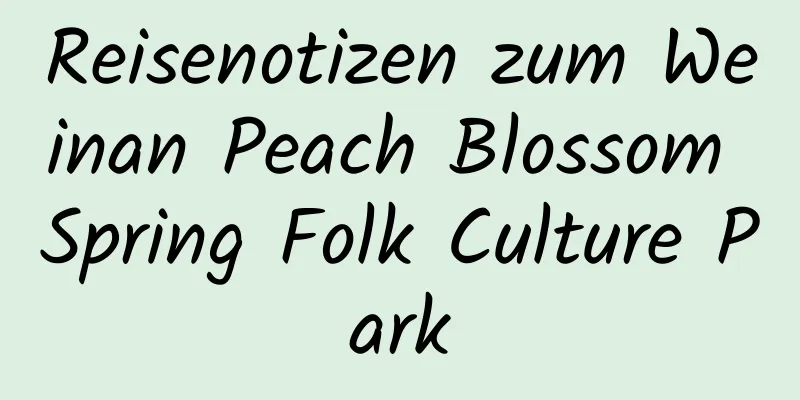 Reisenotizen zum Weinan Peach Blossom Spring Folk Culture Park