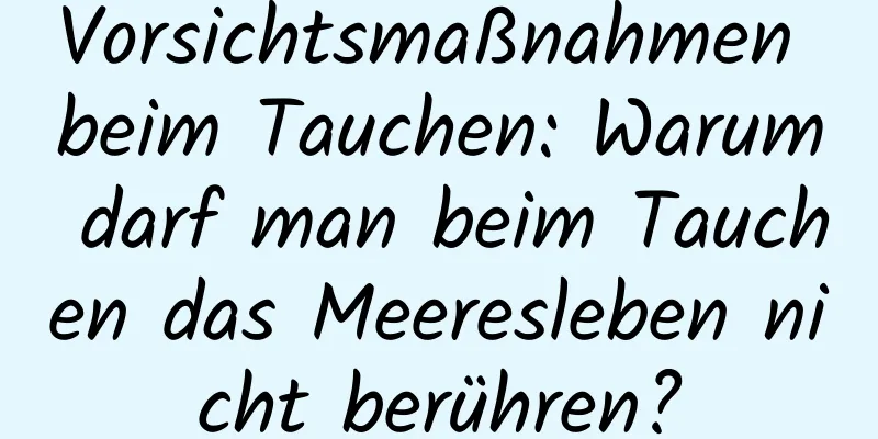 Vorsichtsmaßnahmen beim Tauchen: Warum darf man beim Tauchen das Meeresleben nicht berühren?