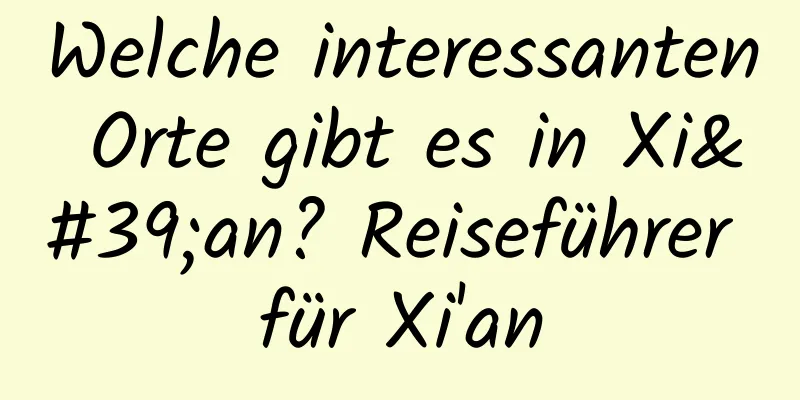 Welche interessanten Orte gibt es in Xi'an? Reiseführer für Xi'an