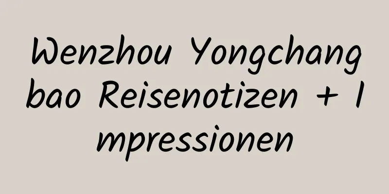 Wenzhou Yongchangbao Reisenotizen + Impressionen