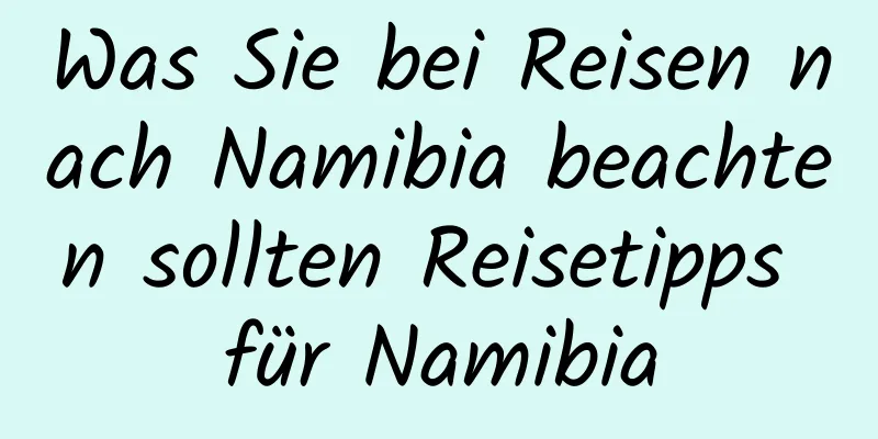 Was Sie bei Reisen nach Namibia beachten sollten Reisetipps für Namibia