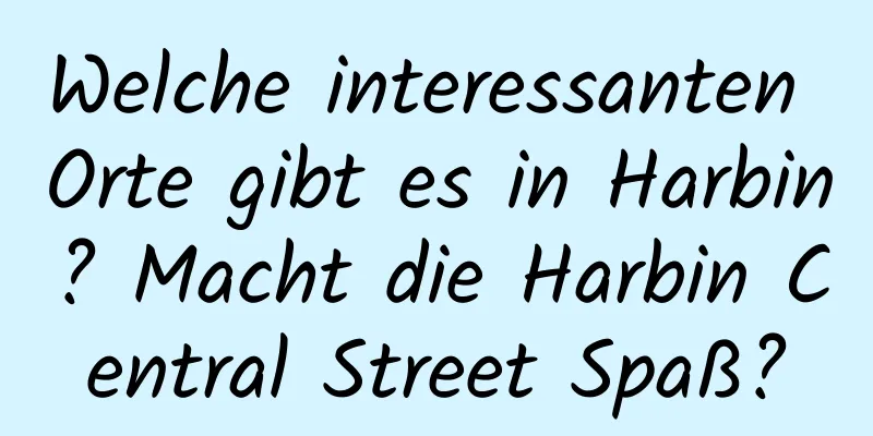 Welche interessanten Orte gibt es in Harbin? Macht die Harbin Central Street Spaß?