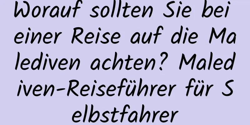 Worauf sollten Sie bei einer Reise auf die Malediven achten? Malediven-Reiseführer für Selbstfahrer