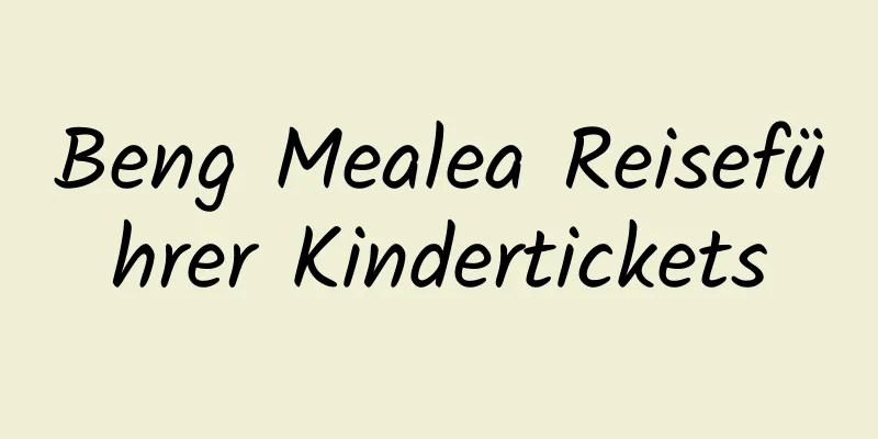 Beng Mealea Reiseführer Kindertickets