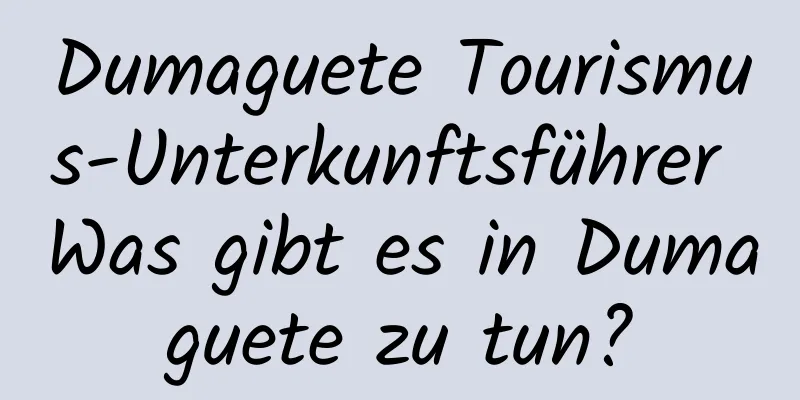 Dumaguete Tourismus-Unterkunftsführer Was gibt es in Dumaguete zu tun?