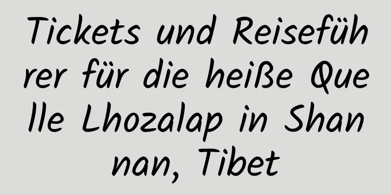 Tickets und Reiseführer für die heiße Quelle Lhozalap in Shannan, Tibet