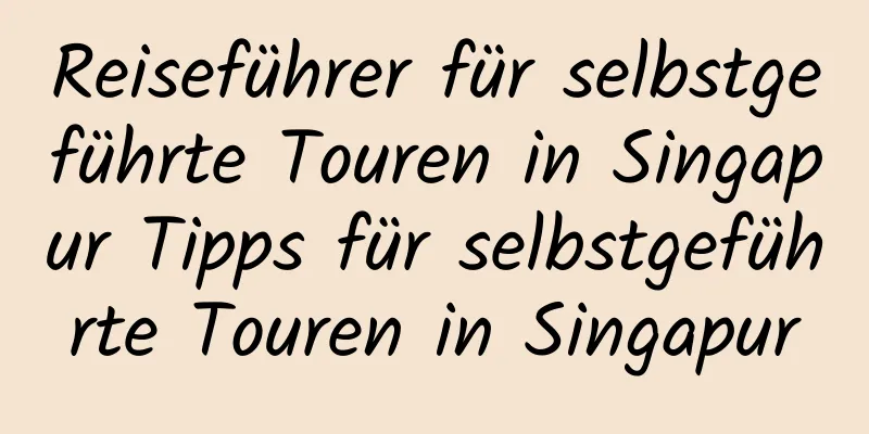 Reiseführer für selbstgeführte Touren in Singapur Tipps für selbstgeführte Touren in Singapur