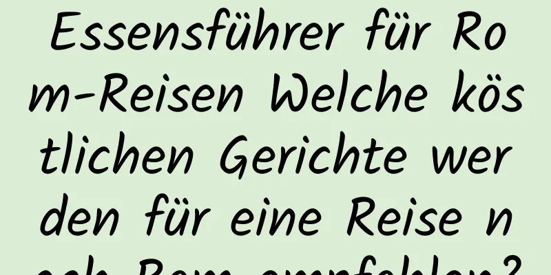 Essensführer für Rom-Reisen Welche köstlichen Gerichte werden für eine Reise nach Rom empfohlen?