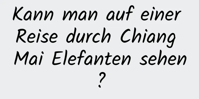 Kann man auf einer Reise durch Chiang Mai Elefanten sehen?