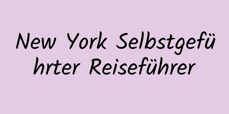 New York Selbstgeführter Reiseführer