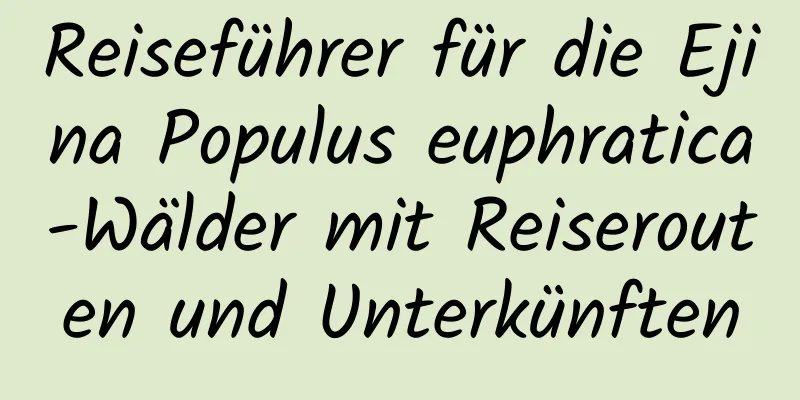 Reiseführer für die Ejina Populus euphratica-Wälder mit Reiserouten und Unterkünften