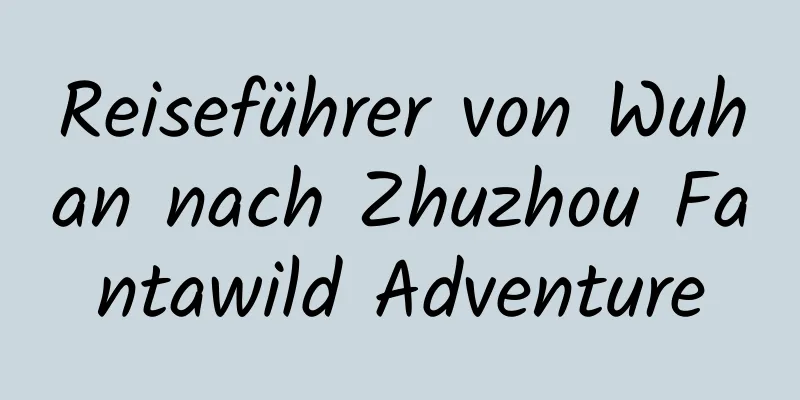 Reiseführer von Wuhan nach Zhuzhou Fantawild Adventure