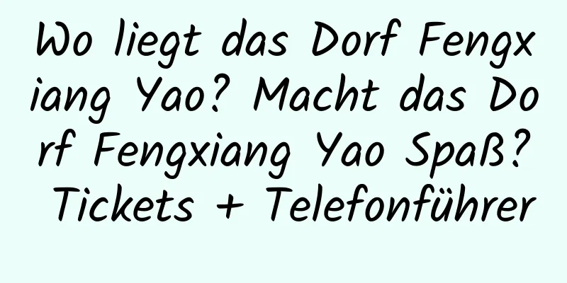 Wo liegt das Dorf Fengxiang Yao? Macht das Dorf Fengxiang Yao Spaß? Tickets + Telefonführer