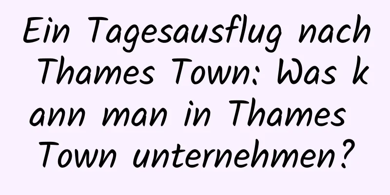 Ein Tagesausflug nach Thames Town: Was kann man in Thames Town unternehmen?