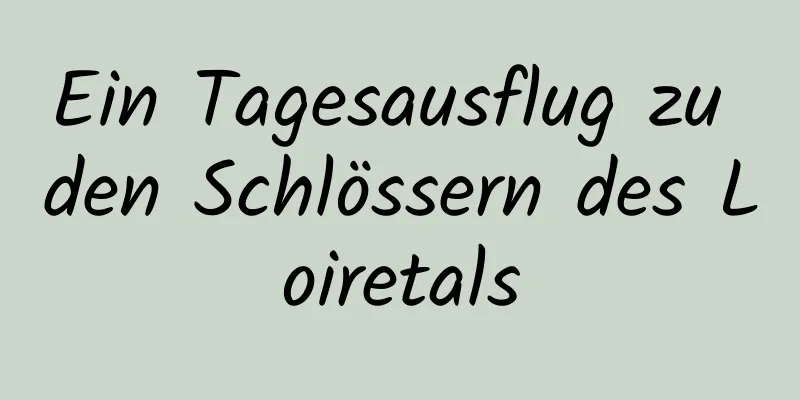 Ein Tagesausflug zu den Schlössern des Loiretals