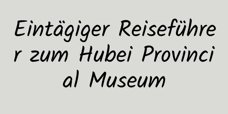 Eintägiger Reiseführer zum Hubei Provincial Museum