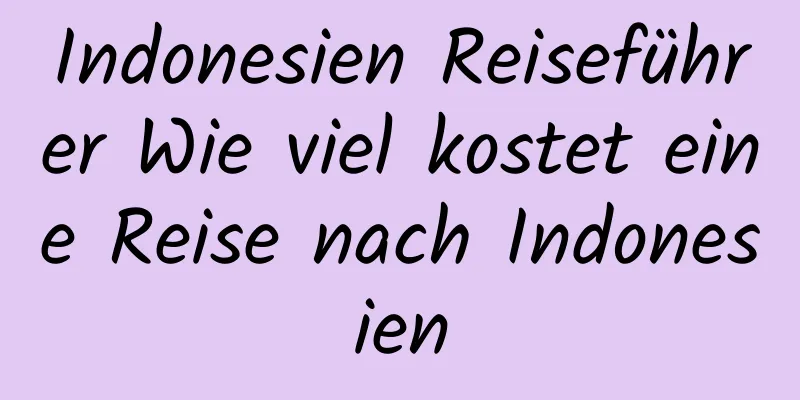Indonesien Reiseführer Wie viel kostet eine Reise nach Indonesien