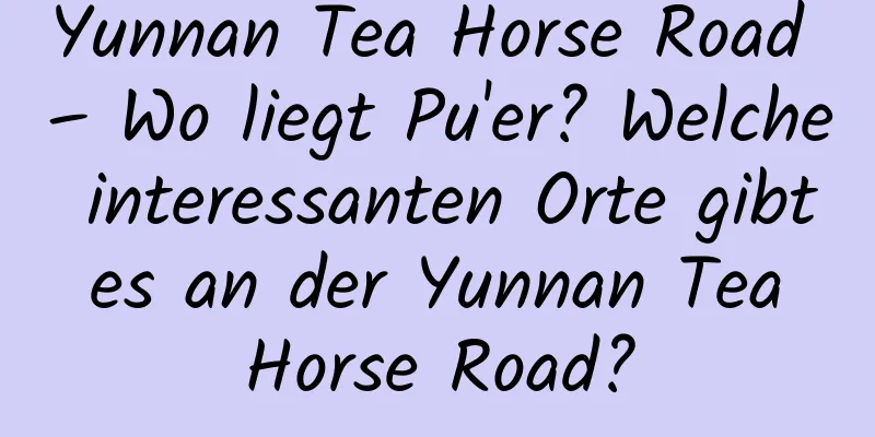 Yunnan Tea Horse Road – Wo liegt Pu'er? Welche interessanten Orte gibt es an der Yunnan Tea Horse Road?