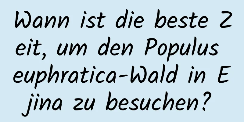 Wann ist die beste Zeit, um den Populus euphratica-Wald in Ejina zu besuchen?
