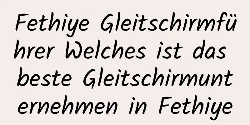 Fethiye Gleitschirmführer Welches ist das beste Gleitschirmunternehmen in Fethiye