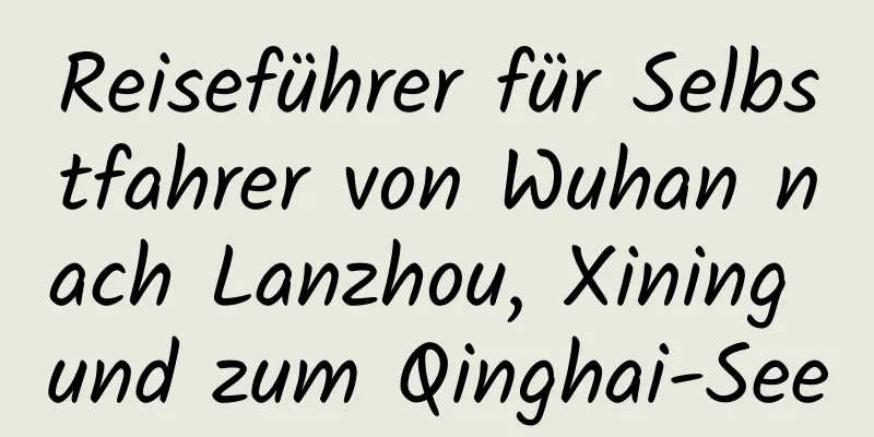 Reiseführer für Selbstfahrer von Wuhan nach Lanzhou, Xining und zum Qinghai-See