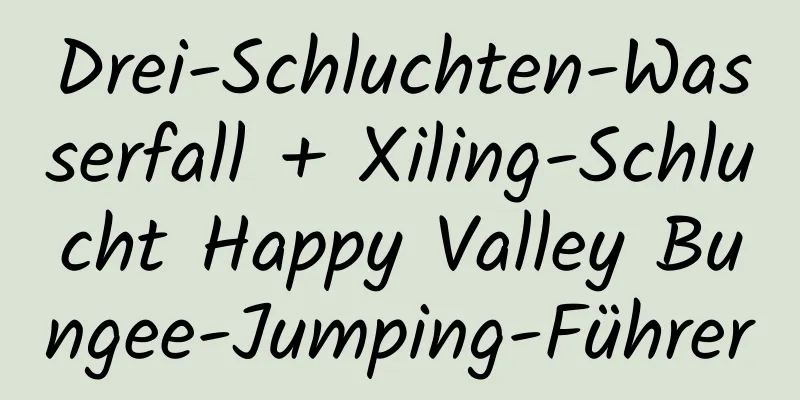 Drei-Schluchten-Wasserfall + Xiling-Schlucht Happy Valley Bungee-Jumping-Führer