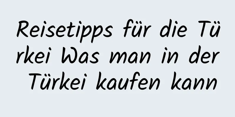 Reisetipps für die Türkei Was man in der Türkei kaufen kann