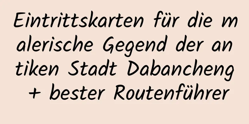 Eintrittskarten für die malerische Gegend der antiken Stadt Dabancheng + bester Routenführer