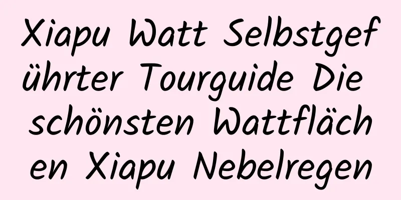 Xiapu Watt Selbstgeführter Tourguide Die schönsten Wattflächen Xiapu Nebelregen