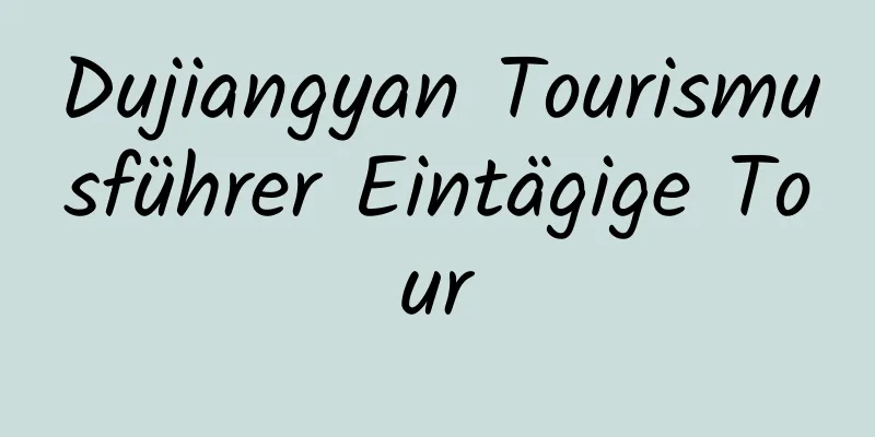 Dujiangyan Tourismusführer Eintägige Tour