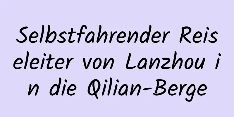 Selbstfahrender Reiseleiter von Lanzhou in die Qilian-Berge