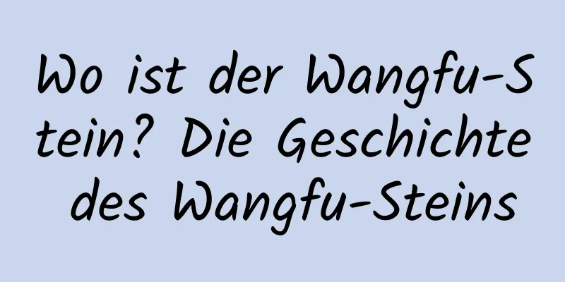 Wo ist der Wangfu-Stein? Die Geschichte des Wangfu-Steins