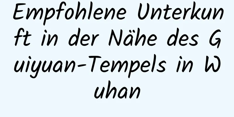 Empfohlene Unterkunft in der Nähe des Guiyuan-Tempels in Wuhan