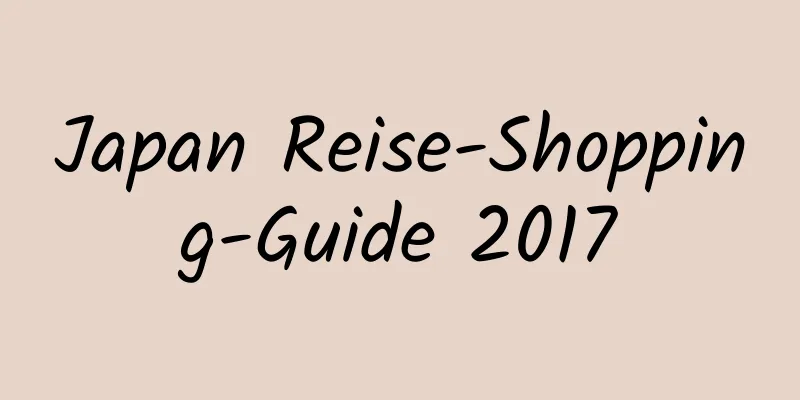 Japan Reise-Shopping-Guide 2017