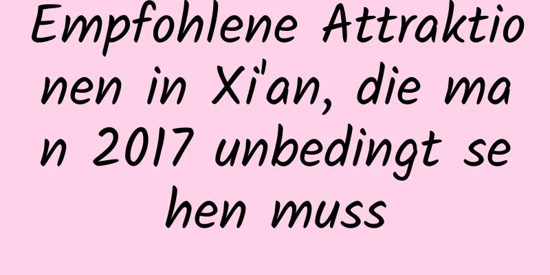 Empfohlene Attraktionen in Xi'an, die man 2017 unbedingt sehen muss