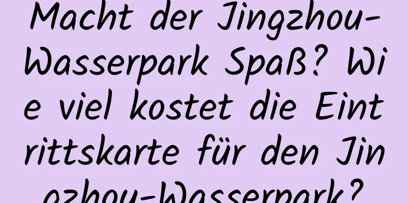 Macht der Jingzhou-Wasserpark Spaß? Wie viel kostet die Eintrittskarte für den Jingzhou-Wasserpark?