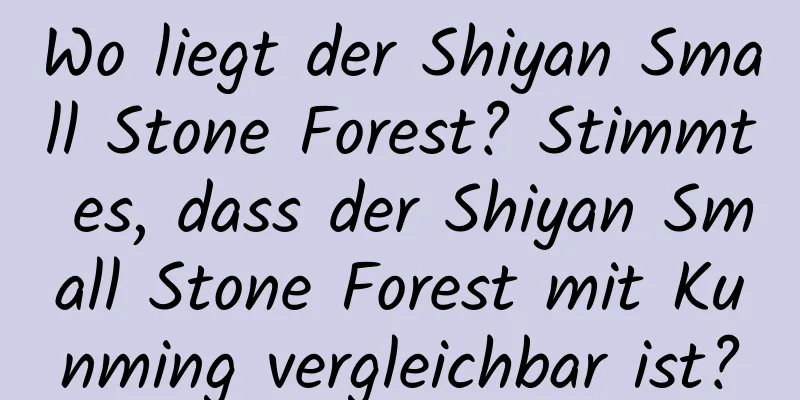 Wo liegt der Shiyan Small Stone Forest? Stimmt es, dass der Shiyan Small Stone Forest mit Kunming vergleichbar ist?