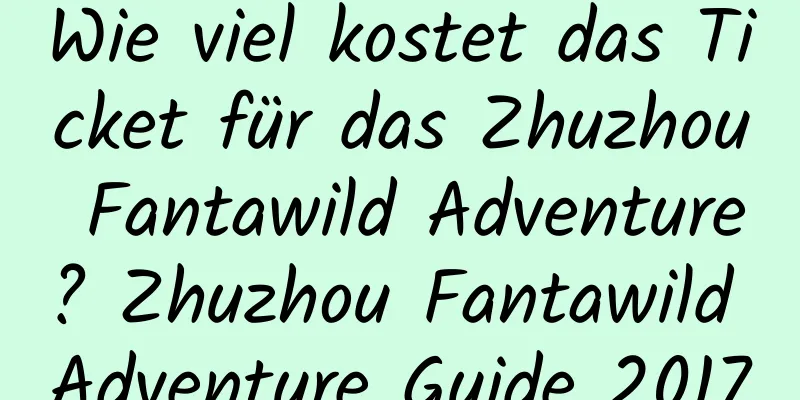 Wie viel kostet das Ticket für das Zhuzhou Fantawild Adventure? Zhuzhou Fantawild Adventure Guide 2017