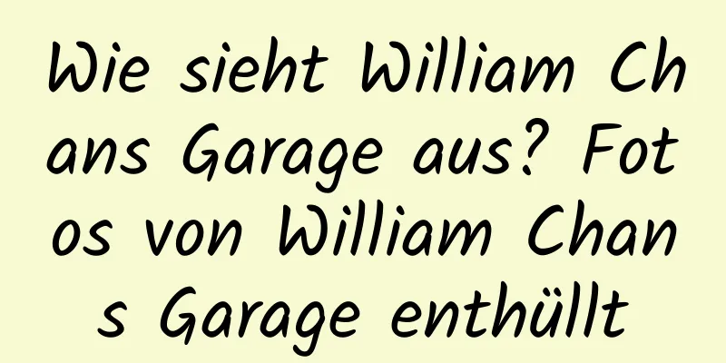 Wie sieht William Chans Garage aus? Fotos von William Chans Garage enthüllt