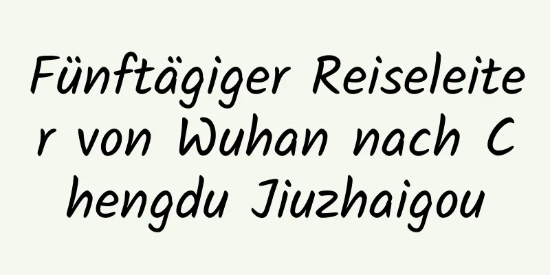 Fünftägiger Reiseleiter von Wuhan nach Chengdu Jiuzhaigou